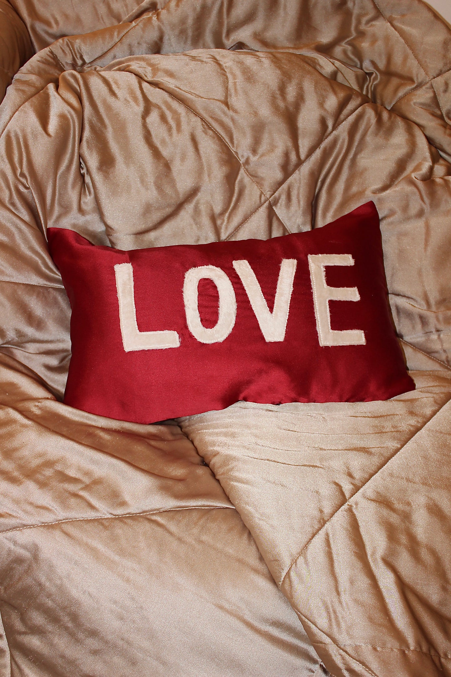 Santa Love cushion